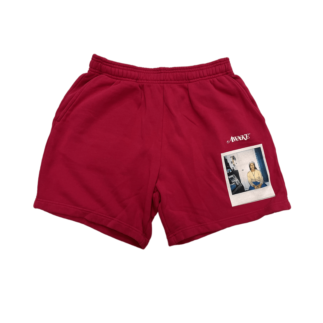 値下げALWAYTH for WAKE SAPPORO BAKER SHORTS AWAKE NY x AK POLAROID SHORTS – Alicia Keys